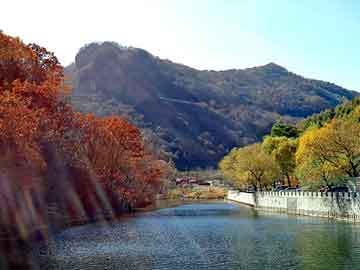 奥门天天开奖免费资料，凤凰甘油一号